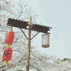 免费看十八岁美女电视剧尼姑
